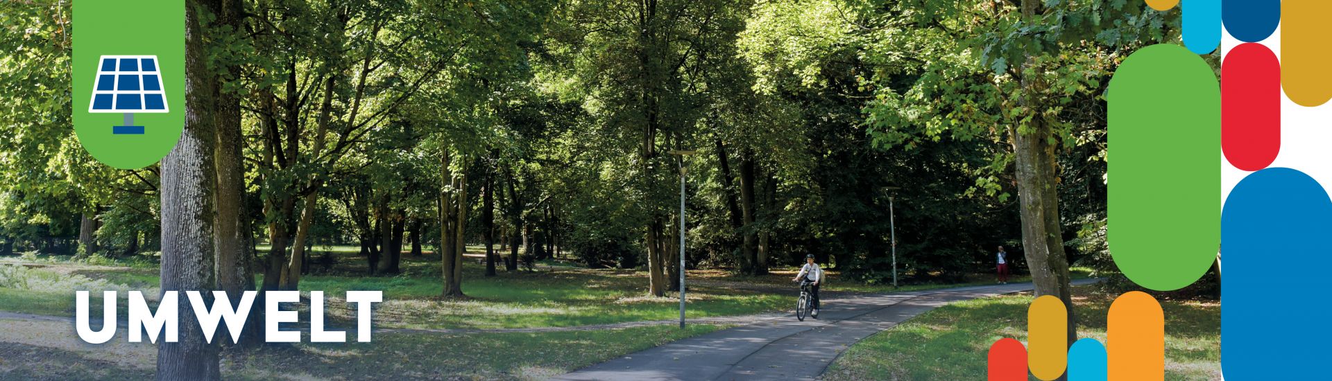 Grüne Bäume, Wiese, Fahrradfahrer
