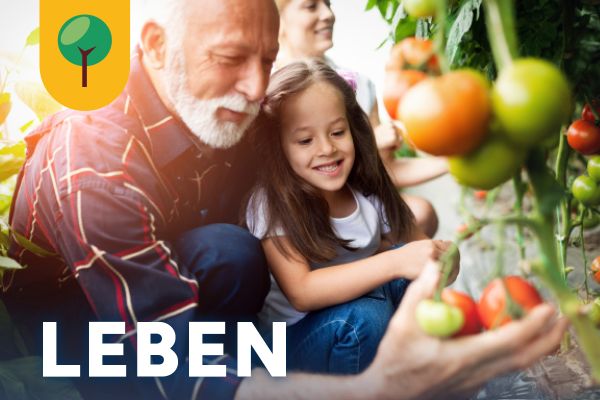 Titelbild Handlungsfeld Nachhaltiges Leben im Alltag der Nachhaltigkeitsagenda Ingolstadt mit älterem Herrn und Kind an einem Obstbaum