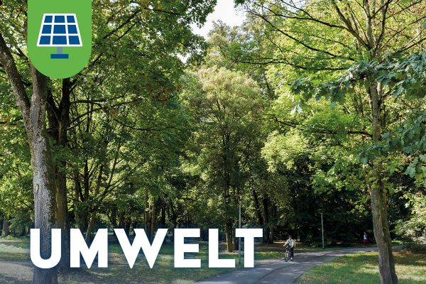 Handlungsfeld Umwelt der Nachhaltigkeitsagenda Ingolstadt mit grünen Bäumen