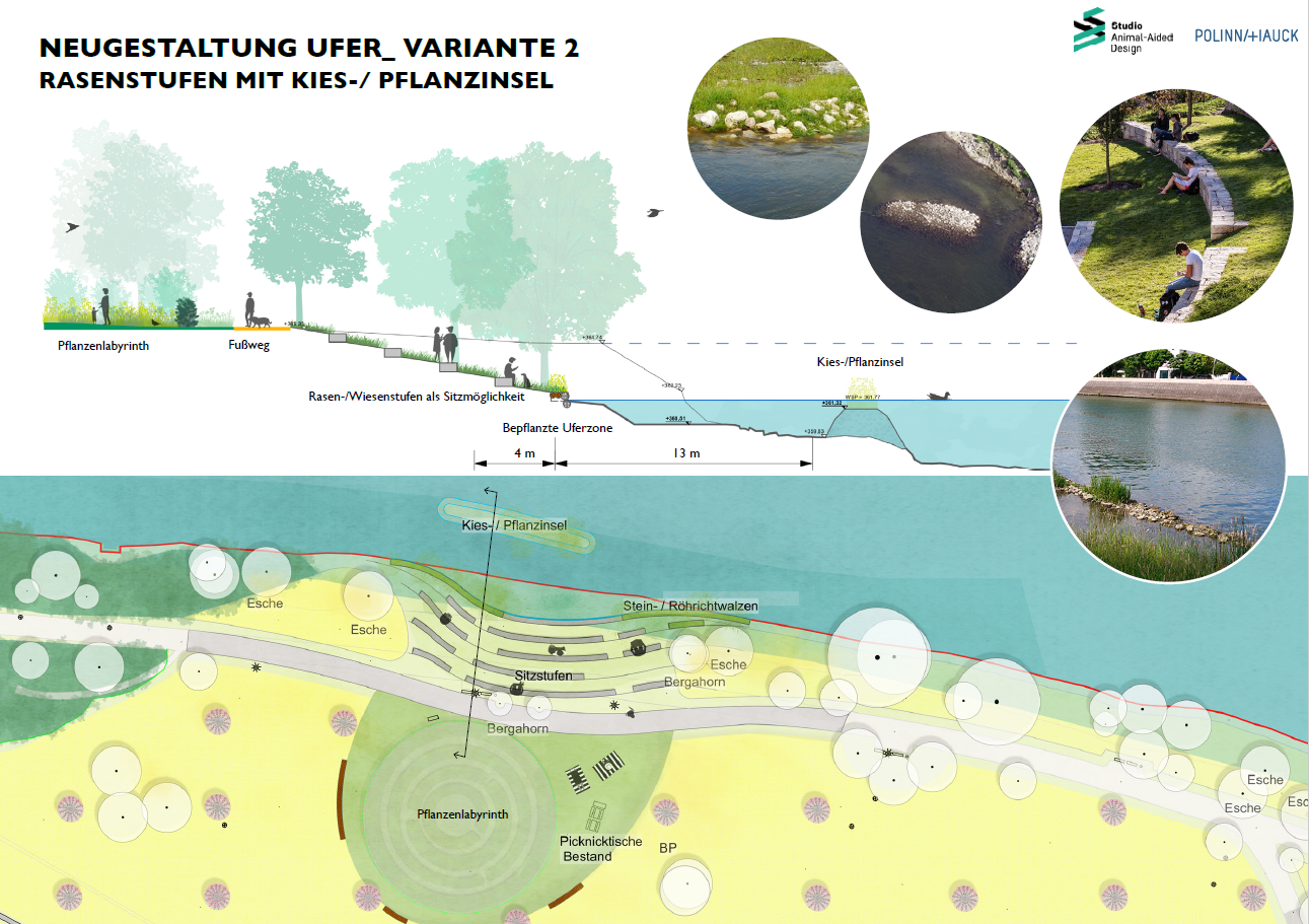 Variante 2 mit Rasenstufen an die Donau und einer Kiesinsel als Strömungslenker