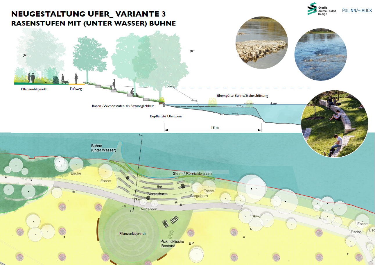 Variante 3 mit Rasenstufen bis zur Donau und strömungsberuhigten Uferbereich